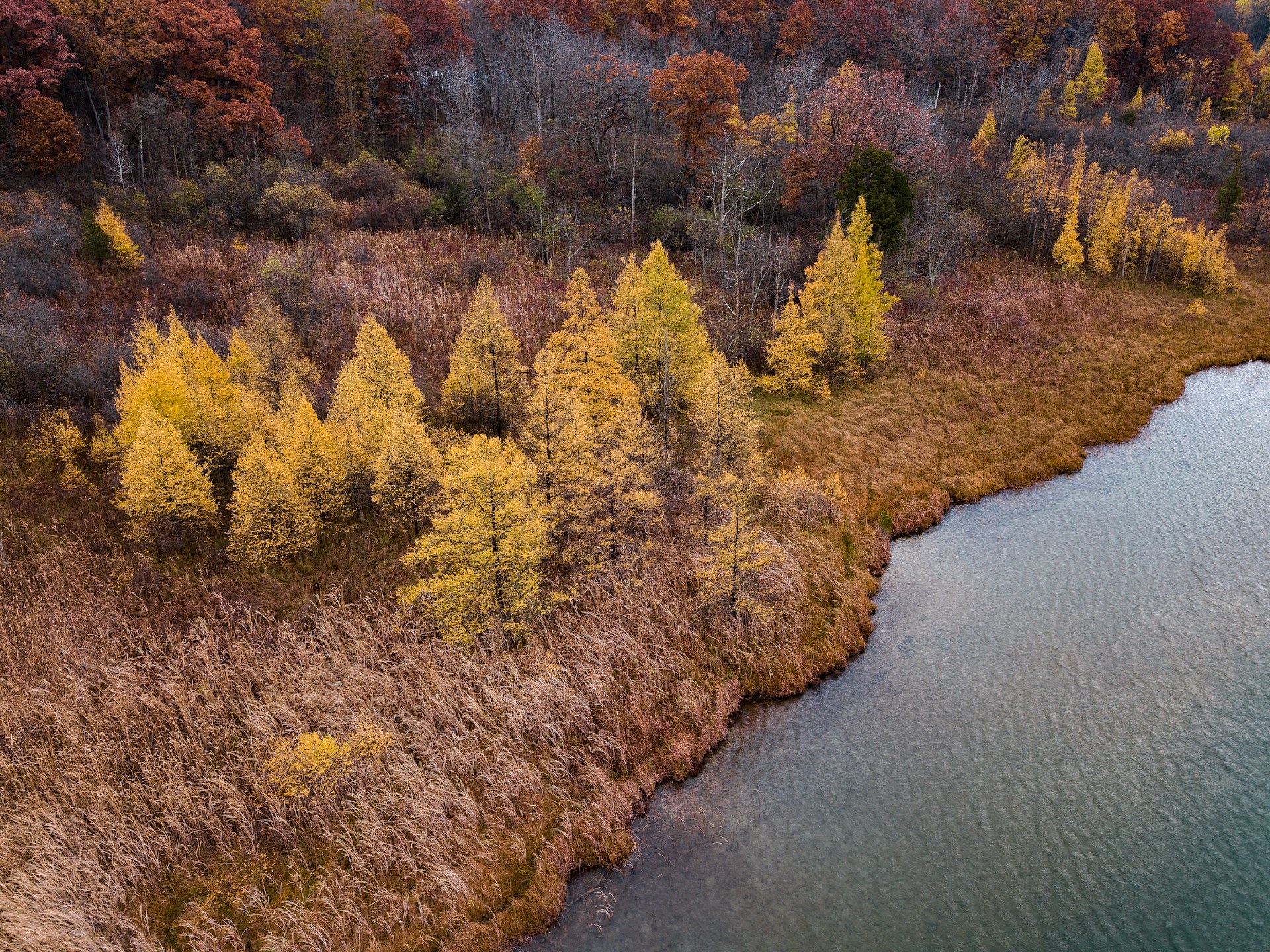 Foto von Aaron Burden auf Unsplash